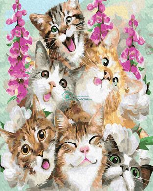 279 грн  Живопись по номерам BK-GX33432 Картина для рисования по номерам Милые котята
