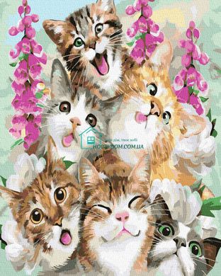 279 грн  Живопис за номерами BK-GX33432 Картина для малювання за номерами Милі кошенята