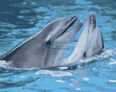 339 грн  Живопис за номерами BK-GX33064 Картина-розмальовка за номерами Пара дельфинів