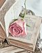 TN1123 Набір алмазної мозаїки на підрамнику Троянда з книгою