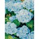 Алмазна картина HX149 Голубі квіти, розміром 30х40 см