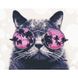 Набір для творчості алмазна картина Кіт в окулярах, 40х50 см FA40855