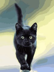 339 грн  Живопис за номерами VK273 Картина-розмальовка за номерами Грація кішки
