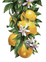 319 грн  Живопис за номерами AS0315 Розмальовка за номерами Лимонне дерево