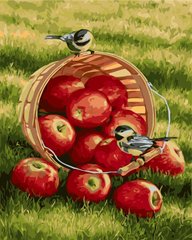 299 грн  Живопись по номерам КНО2469 Раскраска по номерам Хрустящие яблочки