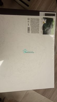 395 грн  Живопись по номерам VA-1040 Набор для рисования по номерам Яркий лягушонок на велосипеде