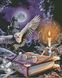 АЛМР-179 Набір діамантової мозаїки на підрамнику Магічні книги Гаррі Поттера, 40*50 см