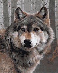 329 грн  Живопис за номерами BK-GX35785 Набір для малювання картини за номерами Серый волк