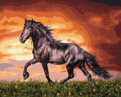 279 грн  Живопис за номерами BK-GX34880 Картина для малювання за номерами Чорний кінь