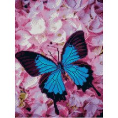 557 грн  Діамантова мозаїка Алмазна картина HX201 Блакитний метелик, розміром 30х40 см