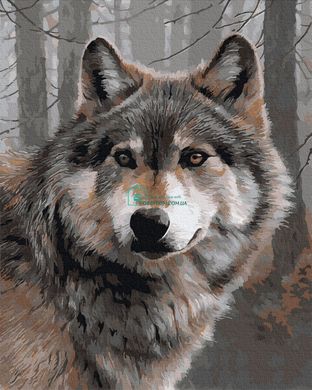 329 грн  Живопис за номерами BK-GX35785 Набір для малювання картини за номерами Серый волк