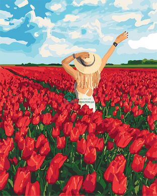 329 грн  Живопис за номерами KH4721 Картина-розмальовка Поле тюльпанів