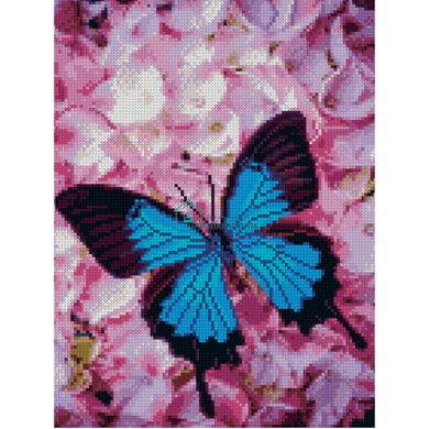 557 грн  Діамантова мозаїка Алмазна картина HX201 Блакитний метелик, розміром 30х40 см