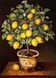 КДИ-0705 Набор алмазной вышивки Лимонное дерево. Художник Jоse Escofet