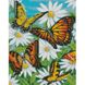 Набір для творчості алмазна картина Метелики в ромашках, 30х40 см HX419