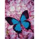 Алмазна картина HX201 Блакитний метелик, розміром 30х40 см