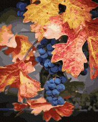 329 грн  Живопись по номерам BK-GX30208 Раскраска по номерам Осенний виноград