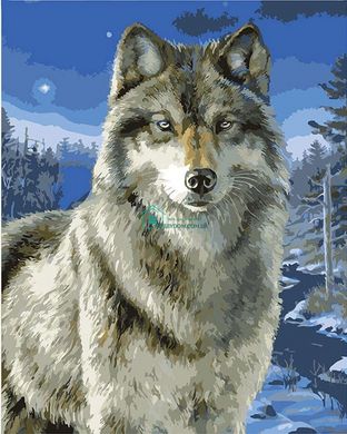 279 грн  Живопис за номерами BK-GX6528 Набір для малювання за номерами Нічний вовк