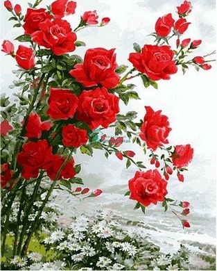 459 грн  Живопись по номерам VP610 Раскраска по номерам Розы на ромашковом поле