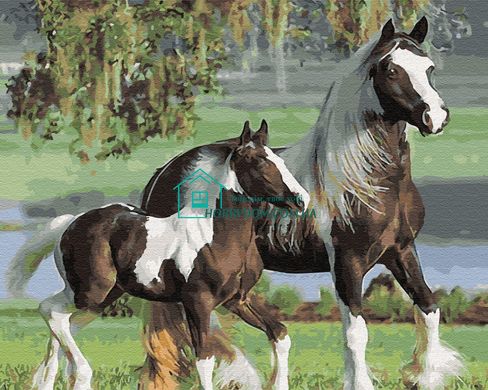 339 грн  Живопис за номерами BK-GX33018 Картина-розмальовка за номерами Сім'я коней