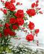 VP610 Розмальовка за номерами троянди на ромашковому полі