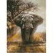 Алмазная картина HX205 Могутній слон, розміром 30х40 см