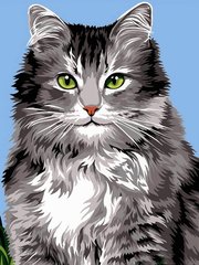 339 грн  Живопись по номерам VK237 Картина-раскраска по номерам Длинношерстная кошка