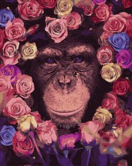 279 грн  Живопись по номерам BK-GX36041 Картина для рисования по номерам Шимпанзе