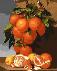 299 грн  Живопись по номерам КНО5651 Картина по номерам Апельсины и лимоны 40 х 50 см