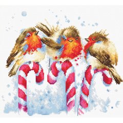 405 грн  Вишивка нитками B1154 Різдвяні птахи Набор для вышивки нитками