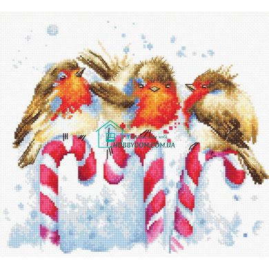 405 грн   B1154 Різдвяні птахи Набор для вышивки нитками