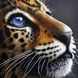 DM-399 Набор алмазной мозаики Взгляд леопарда