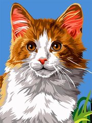 339 грн  Живопис за номерами VK238 Картина-розмальовка за номерами Домашній кіт