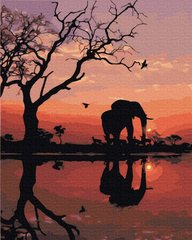 339 грн  Живопис за номерами BK-GX36012 Картина-розмальовка за номерами Слон на заході сонця