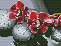 410 грн  Алмазная мозаика EJ1213 Орхидея на камнях Набор алмазной вышивки на подрамнике 30х40 см