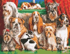 535 грн  Живопис за номерами AS0961 Набір для малювання по номерам Велика компанія собак