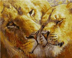 395 грн  Живопись по номерам VA-1766 Набор для рисования по номерам Влюблённые львы