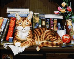 329 грн  Живопис за номерами BK-GX4142 Набір для малювання картини за номерами Кіт на книжній полиці