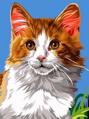 339 грн  Живопись по номерам VK238 Картина-раскраска по номерам Домашний кот