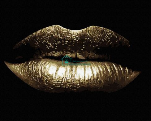 339 грн  Живопись по номерам BJX1068 Картина по номерам 40 х 50 см Золотые губы (золотые краски)