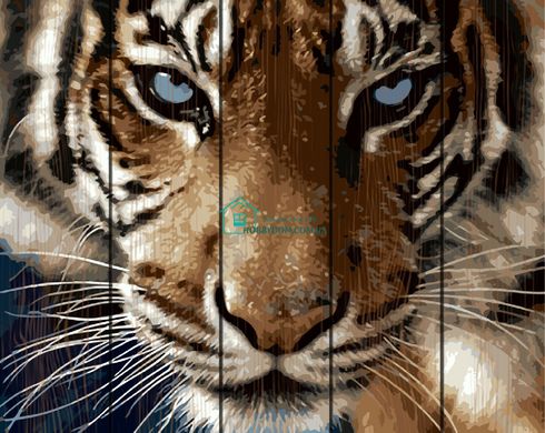 496 грн  Живопис за номерами RA-GXT8767 Размальовка по номерам на дерев'яній основі Погляд тигра