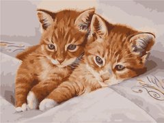 215 грн  Живопись по номерам AS1062 Набор для рисования по номерам Рыжие котята