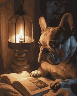 ANG647 Картина за номерами 40 х 50 см Бульдог за книгою, Без коробки
