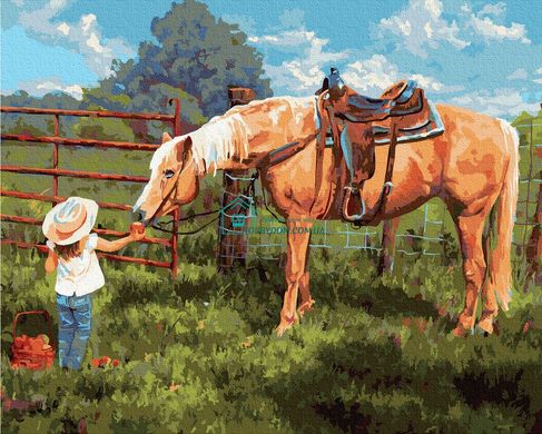 279 грн  Живопись по номерам BK-GX35204 Картина для рисования по номерам Любимая лошадка
