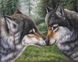 DMP-271 Набір діамантового живопису на підрамнику Закохані вовки