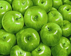 329 грн  Живопис за номерами BK-GX34604 Набір розмальовки за номерами Зелені яблука