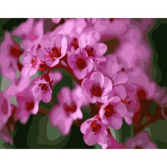 315 грн  Живопис за номерами Набір для розпису по номерах Рожеві квіти сакури,40х50 см, GS238