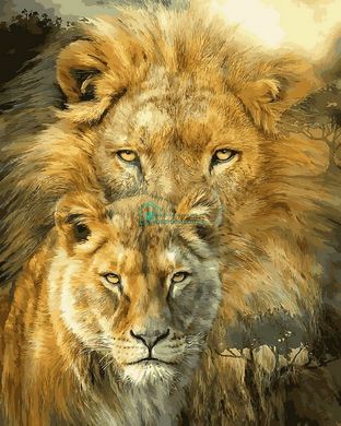 459 грн  Живопись по номерам VP1361 Картина-раскраска по номерам Лев и львица