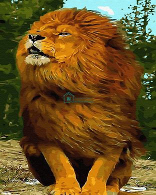 339 грн  Живопис за номерами BK-GX30079 Набір для малювання по номерам Шикарний лев