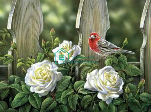 640 грн  Діамантова мозаїка DMP-330 Набір діамантової мозаїки на підрамнику Пташка на садових трояндах